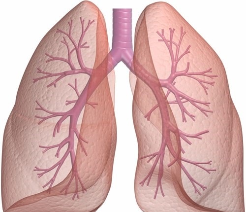 Các bệnh về phổi nguy hiểm các bạn cần biết