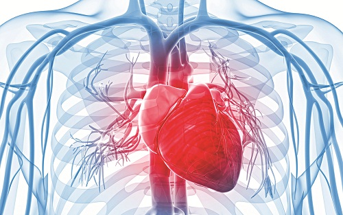 Những dấu hiệu cho thấy bạn có nguy cơ mắc bệnh tim mạch