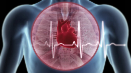 Những thói quen tốt cho tim mạch bạn cần biết