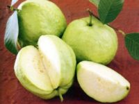 Một số trái cây điều trị bệnh tiêu chảy