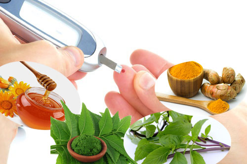 Trị bệnh tiểu đường bằng mật ong, lá neem, húng quế và nghệ 