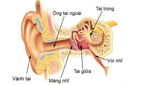 Bệnh viêm tai giữa
