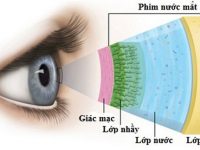 Giải pháp nào tốt nhất dành cho đôi mắt mỏi và khô?