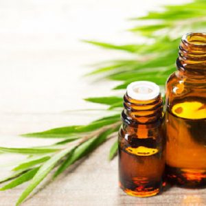 4 cách dùng tinh dầu tràm trà trị sẹo lồi hiệu quả