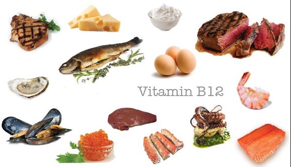 Thực phẩm chứa Vitamin b12 bổ máu