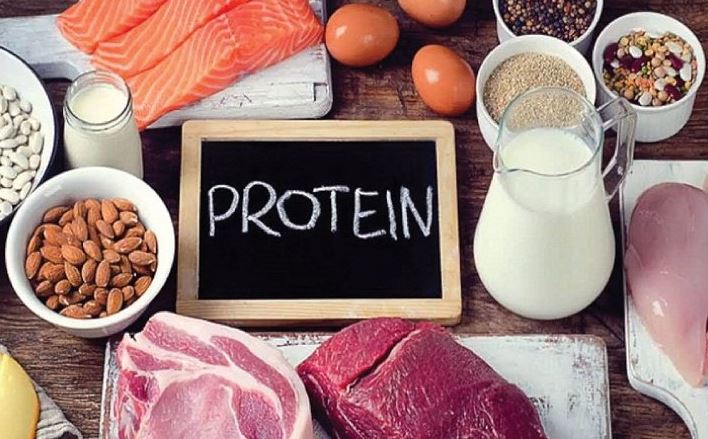 Thực phẩm giàu Protein giúp bổ máu