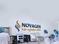 Xét nghiệm ADN để chia thừa kế – Căn cứ pháp luật và quy trình thực hiện