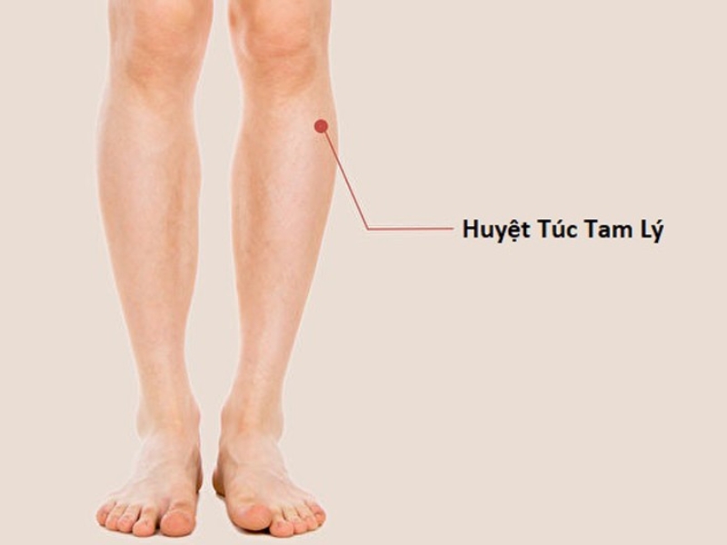 Huyệt Túc tam lý