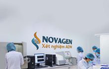 Xét nghiệm ADN để chia thừa kế – Căn cứ pháp luật và quy trình thực hiện