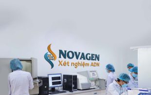 Xét nghiệm ADN để chia thừa kế – Căn cứ pháp luật và quy trình thực hiện