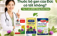 Thuốc bổ gan của Đức có tốt không? Top 3 sản phẩm đáng tham khảo